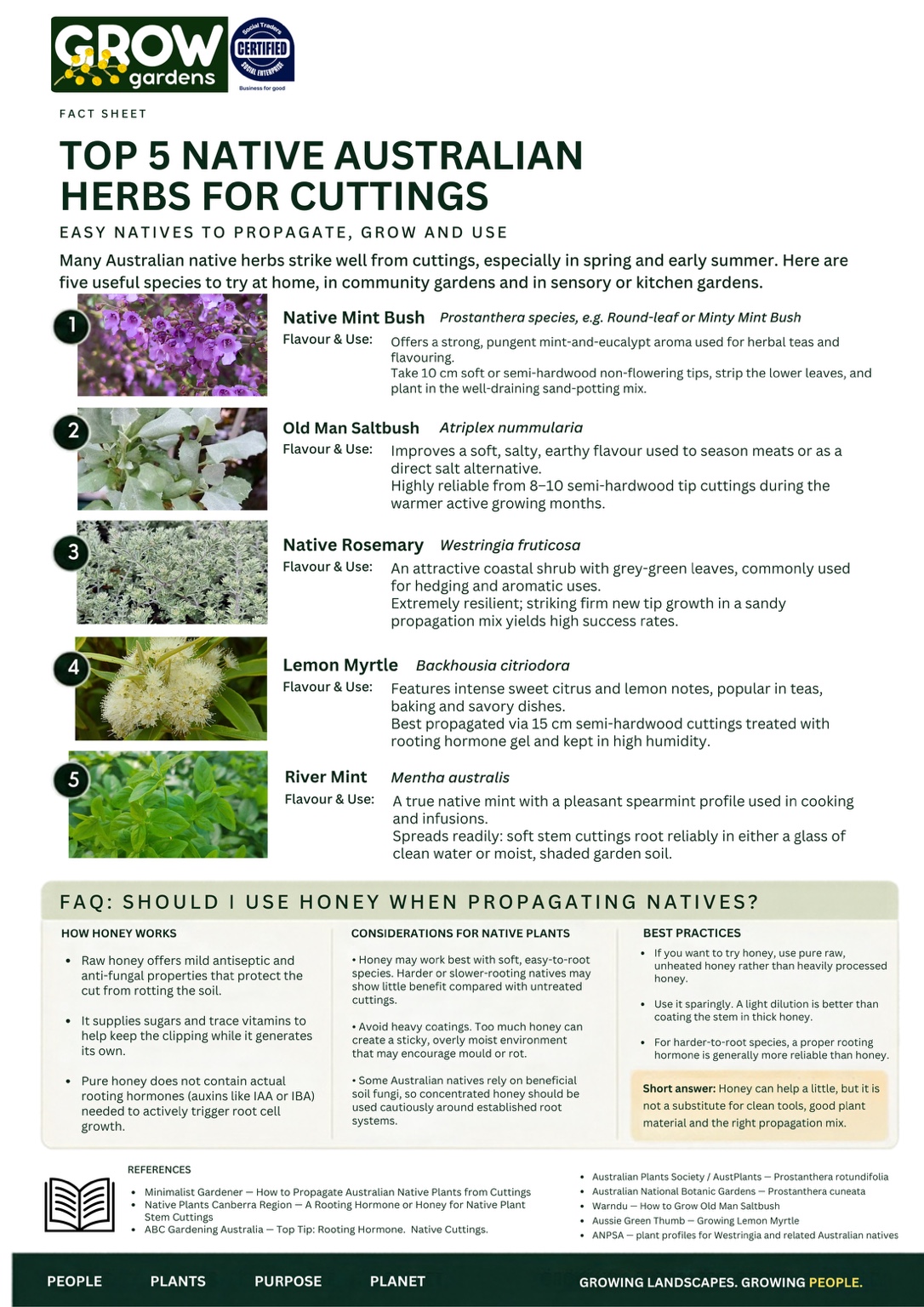 Top five native Australian herbs for cuttings: native mint bush, old man saltbush, native rosemary, lemon myrtle and river mint, with guidance about honey and propagation.